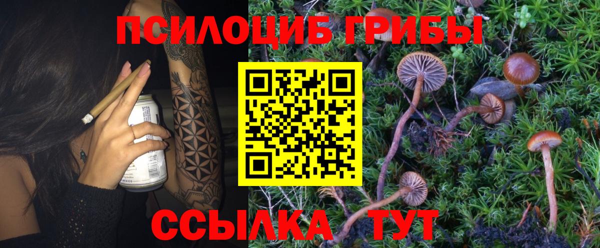 Псилоцибиновые грибы ЛСД  Вход с VPN  Чебаркуль  Галлюциногенные грибы MAGIC MUSHROOMS 